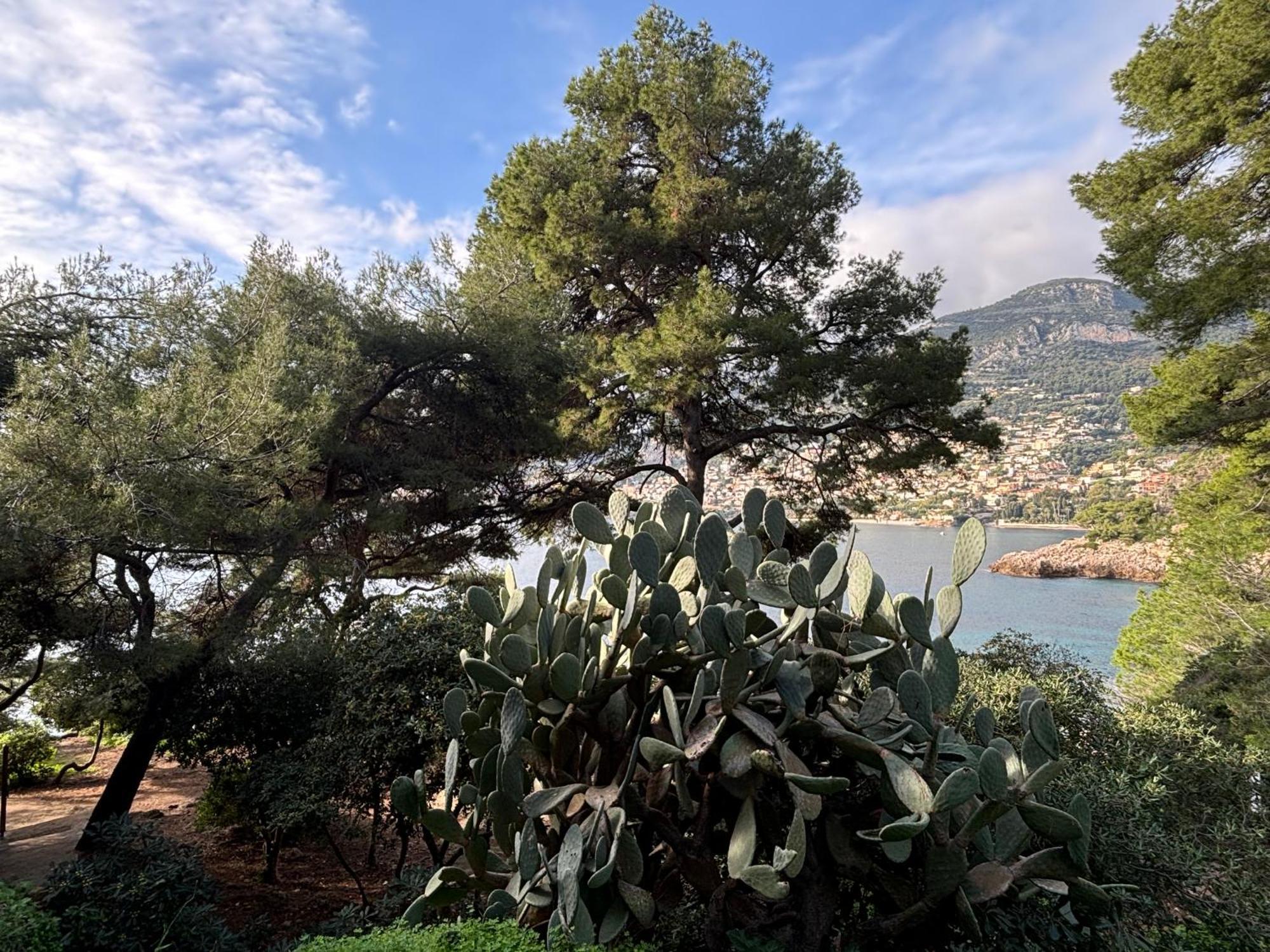 Apartment Belle époque Palace Suites: Seaside Elegance In Menton
